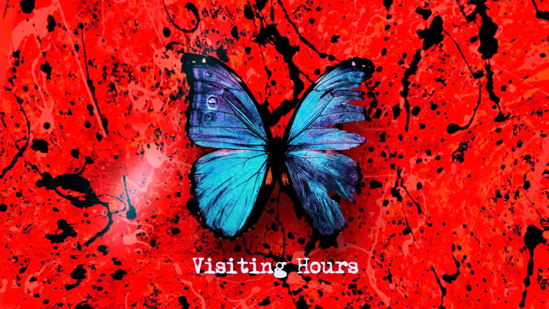 Lời dịch Visiting Hours - Ed Sheeran